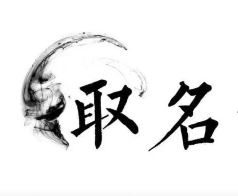  巴马宝宝取名 大师一对一人工起名